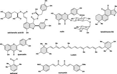 Perspectives of traditional herbal medicines in treating retinitis pigmentosa